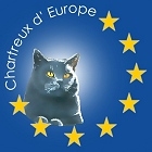 Chartreux d'Europe